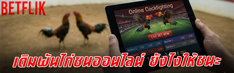 ไก่ชนออนไลน์