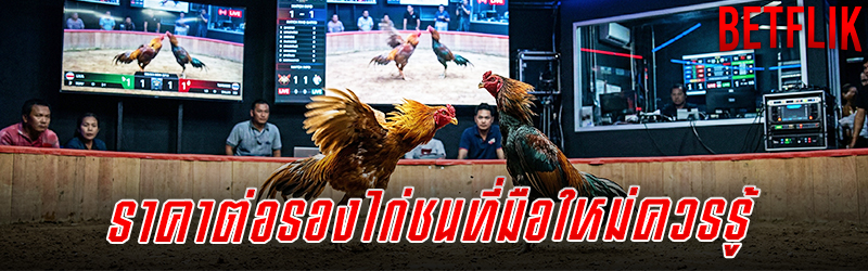 ไก่ชน